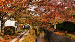 秋意を感じながら