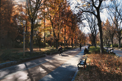 靭公園  都会のオアシス
