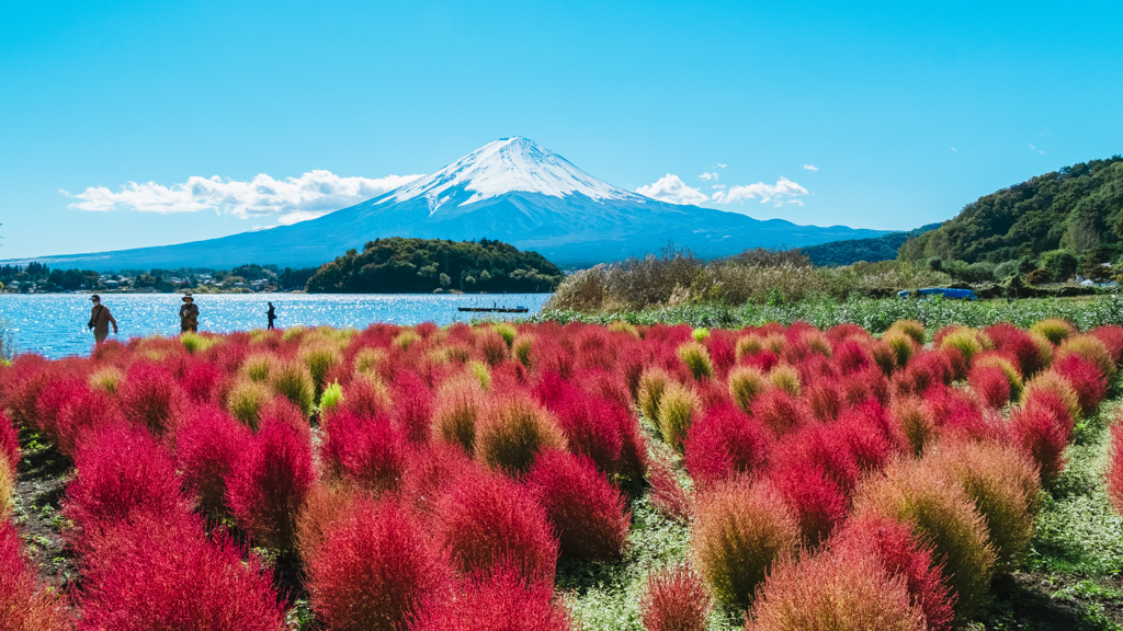 新年　明けましておめでとうございます