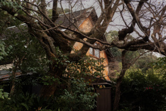 木陰に潜む古屋敷