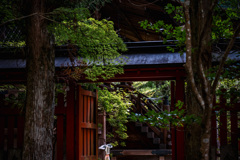 静寂 