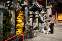 寅の郵便　神域より