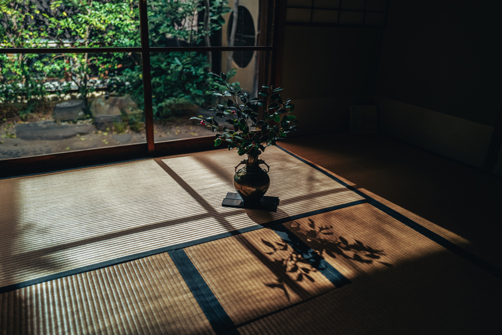 畳に落ちる午後の影