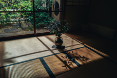 畳に落ちる午後の影