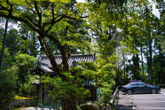 愛車も記念撮影
