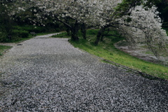花むしろ