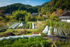 心に優しい風景