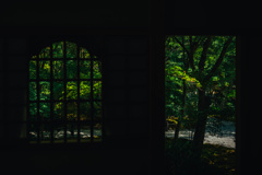 瑞雲閣からの眺め