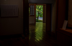 映り込みに心奪われる