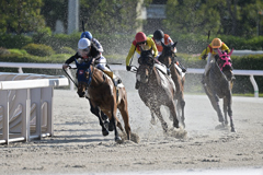 大井競馬の最終コーナー