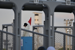 大井競馬のスターター