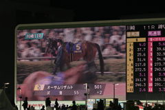 川崎競馬場、内馬場の賑わい