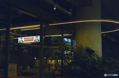 Hamburger Diner in Color