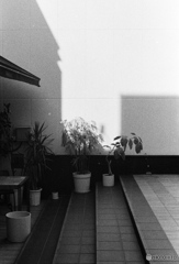 プランター