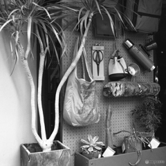 Shop