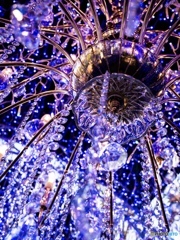 湘南の宝石