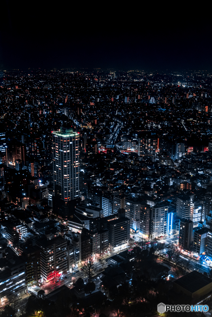 新宿夜景