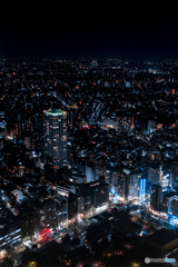 新宿夜景