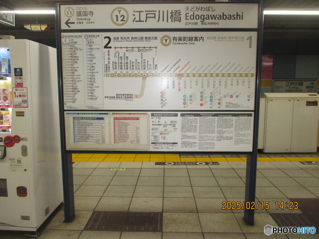 初めての紅白で歌唱　今改めて　一人ひとりの「あなた」に…