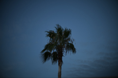 黒いうろこ雲