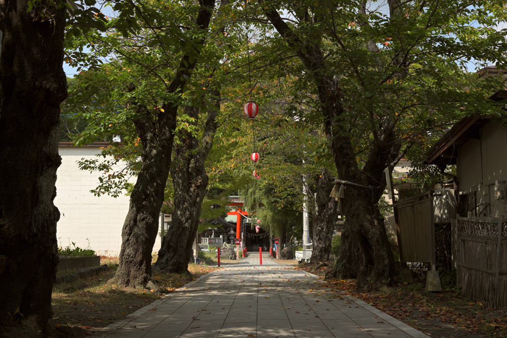 通り道