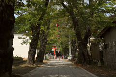 通り道