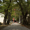 通り道