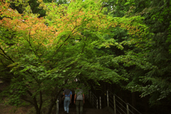 夏と秋の間