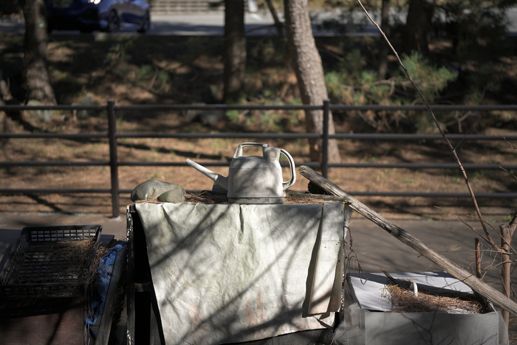 木漏れ日の如雨露