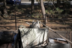 木漏れ日の如雨露
