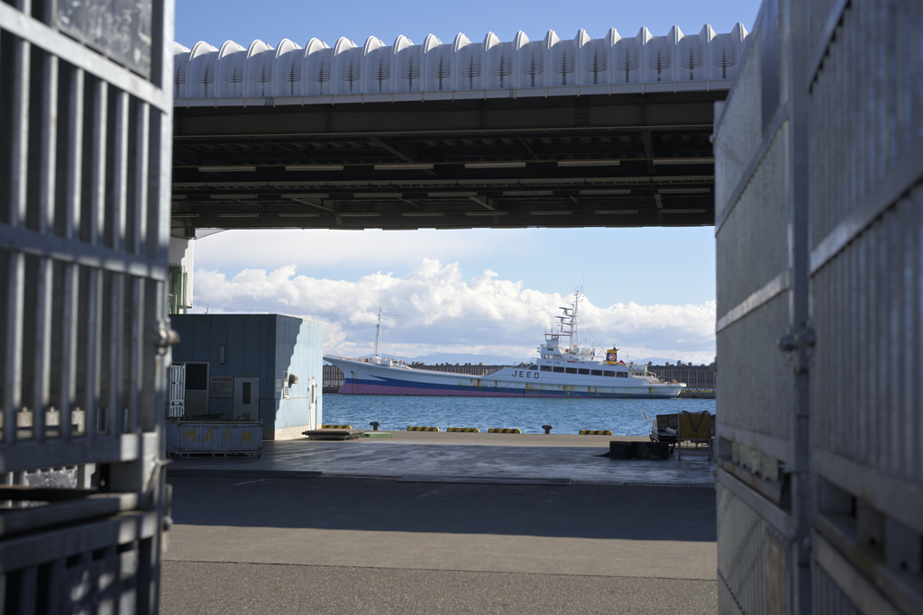 コンテナの隙間から