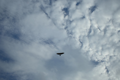 滑空