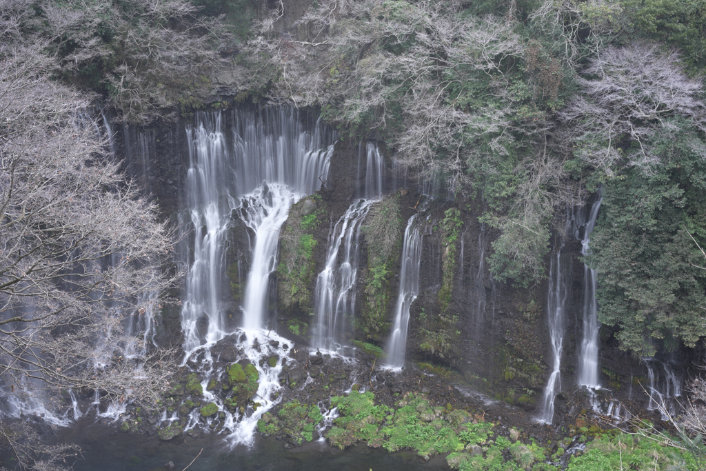 白糸の滝 by Polyantha （ID：13399408） - 写真共有サイト:PHOTOHITO