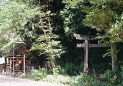 鳥居の親子