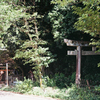 鳥居の親子