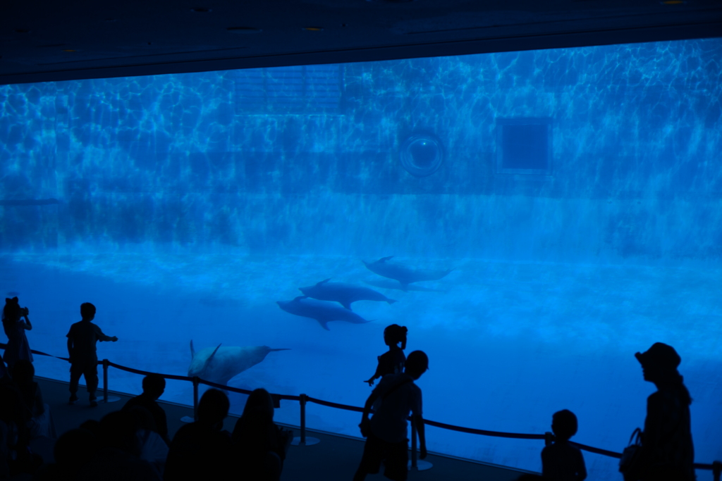 水族館