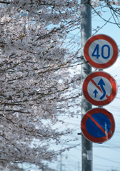 見惚れすぎ注意！