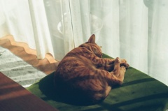 ひるね