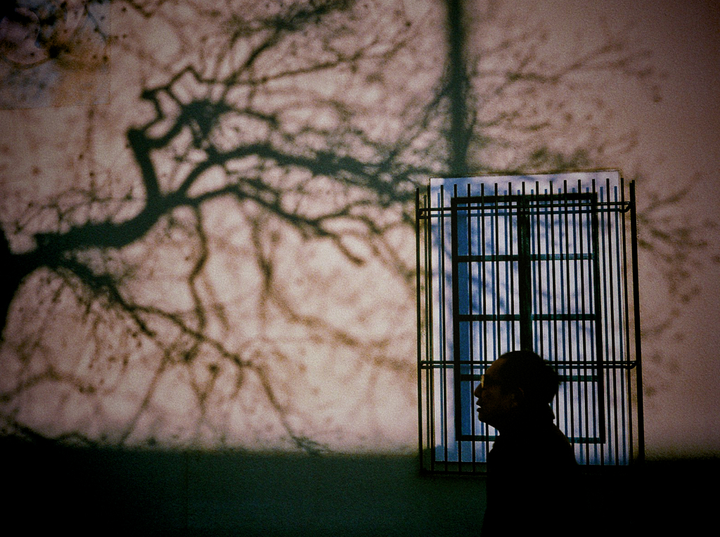 quiet shadow