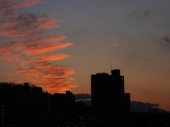ひこうき雲