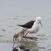 お母さーん①