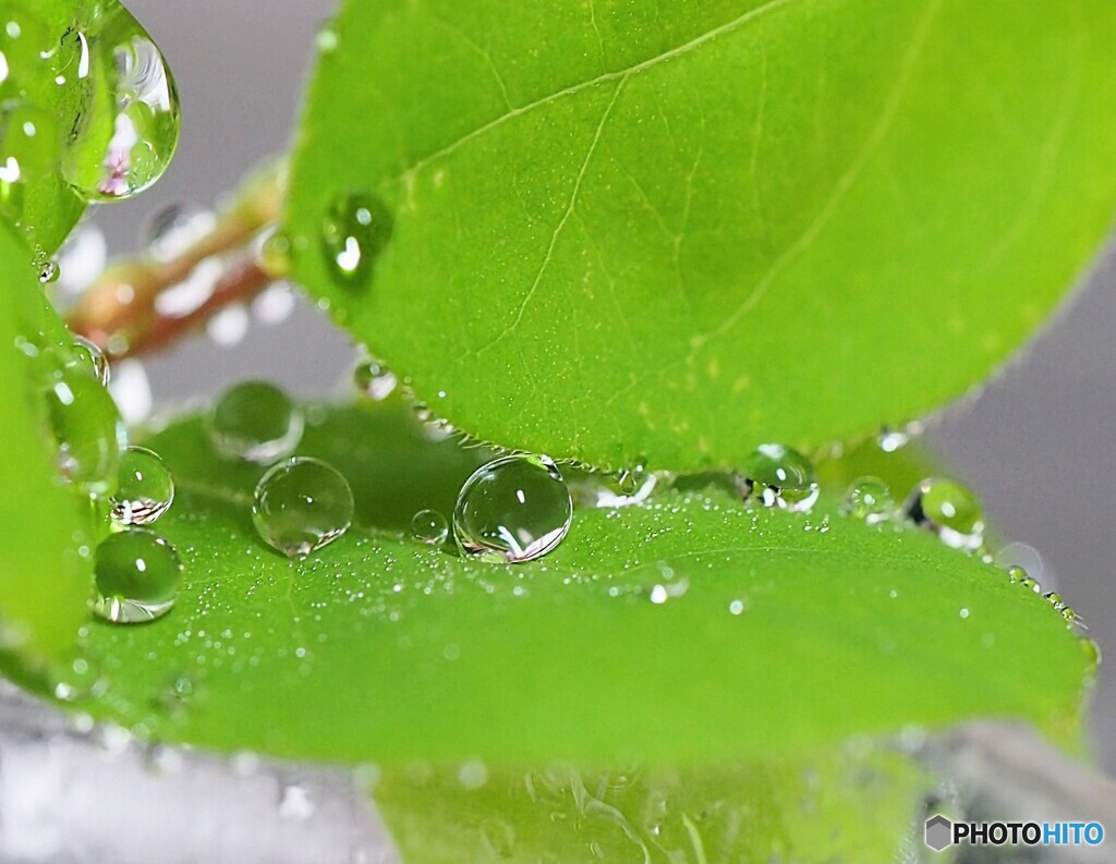 雨上がり