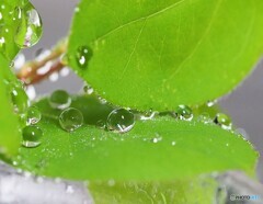 雨上がり