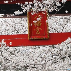 朱に染まらず