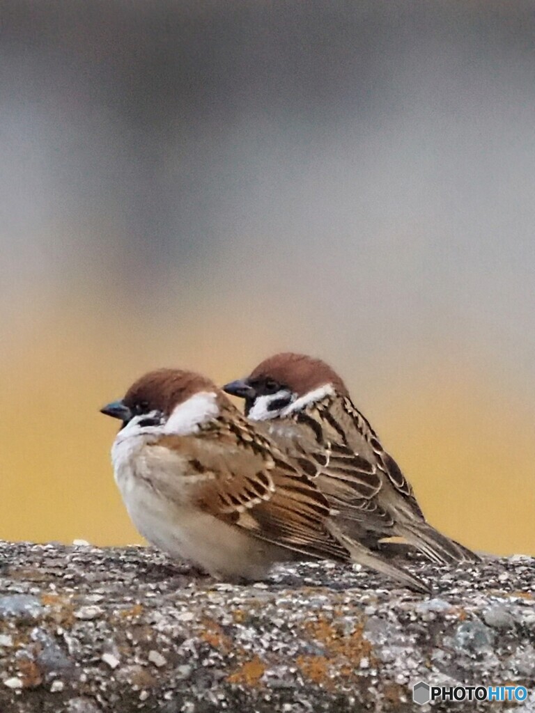 2人だけの世界