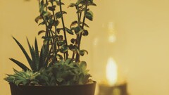 small pot