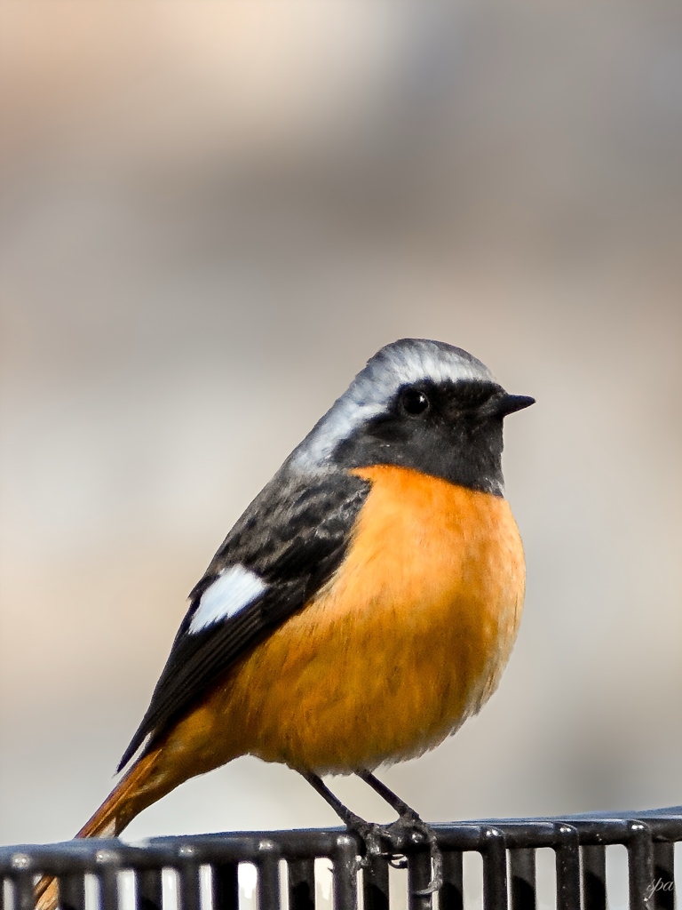 Time is moving slowly