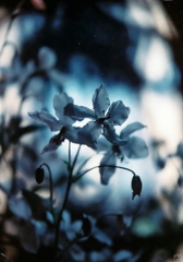 Pale Light, Holding On