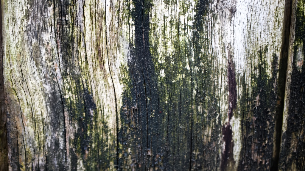 壁7
