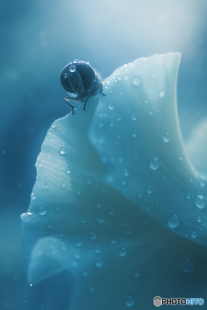 小さなことで、世界は変わる